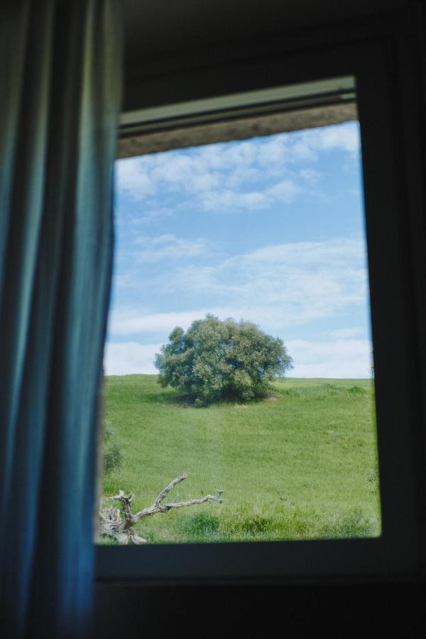 Monna Terra B&B Fermo Eksteriør bilde